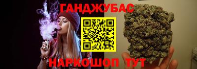шишки Будённовск