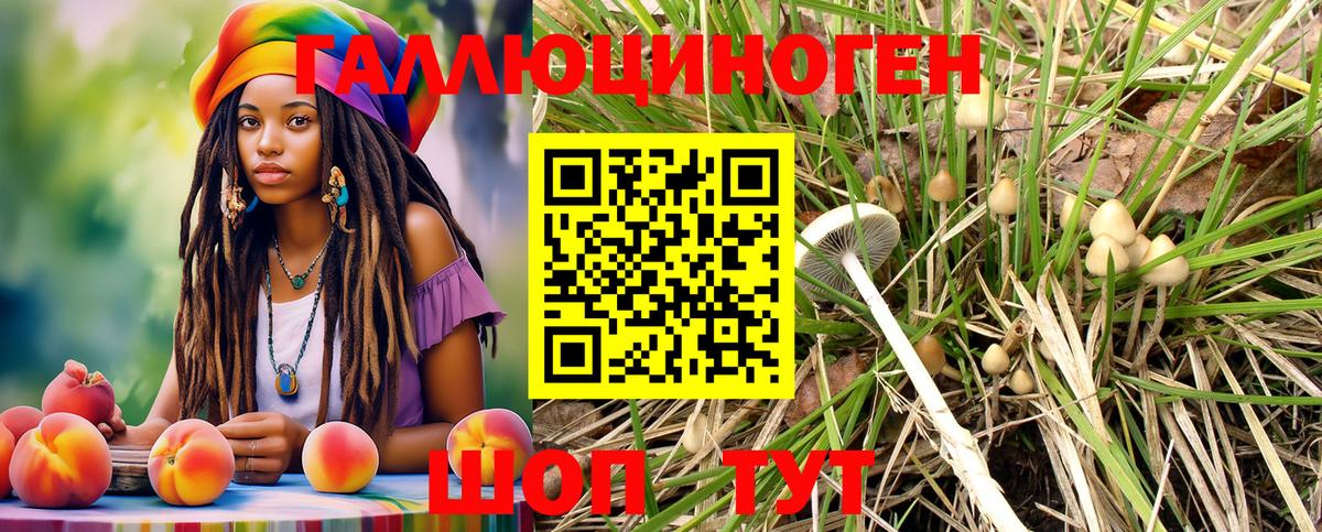 Псилоцибиновые грибы мицелий  Вход с VPN  Бирск  Псилоцибиновые грибы MAGIC MUSHROOMS 